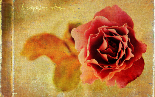 970533 (a): :2560x1600